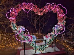 修善寺虹の郷に投稿された画像(2025/12/30)