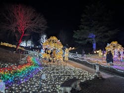 修善寺虹の郷に投稿された画像(2025/12/30)