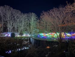 とっとり花回廊に投稿された画像(2025/12/30)