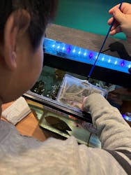 淡路ファームパーク イングランドの丘に投稿された画像(2025/12/30)