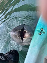 太地町立くじらの博物館に投稿された画像(2025/12/30)