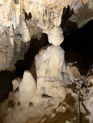 石垣島鍾乳洞に投稿された画像(2025/12/30)