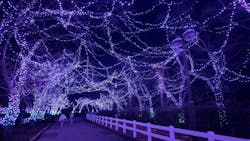 東武動物公園に投稿された画像(2025/12/30)