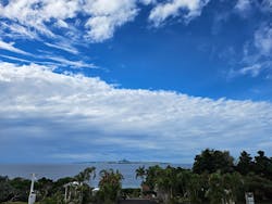 沖縄美ら海水族館に投稿された画像(2025/12/31)