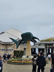 沖縄美ら海水族館に投稿された画像(2025/12/31)