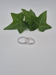 オロ・アルジェントに投稿された画像(2025/12/31)