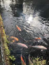 彫刻の森美術館に投稿された画像(2025/12/31)