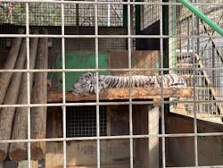 しろとり動物園に投稿された画像(2025/12/31)