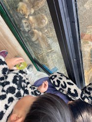 しろとり動物園に投稿された画像(2025/12/31)