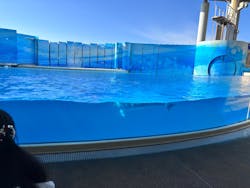 新江ノ島水族館に投稿された画像(2025/12/31)