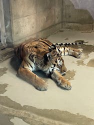 天王寺動物園に投稿された画像(2026/1/1)