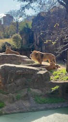 天王寺動物園に投稿された画像(2026/1/1)