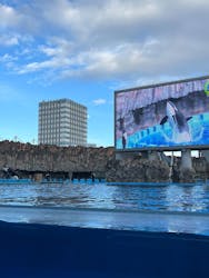 名古屋港水族館に投稿された画像(2026/1/1)
