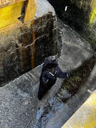 奥飛騨クマ牧場に投稿された画像(2026/1/1)