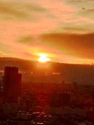 東京タワーに投稿された画像(2026/1/1)