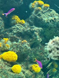 環境水族館アクアマリンふくしまに投稿された画像(2026/1/1)