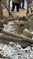 那須どうぶつ王国に投稿された画像(2026/1/2)