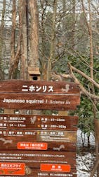 那須どうぶつ王国に投稿された画像(2026/1/2)