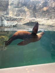環境水族館アクアマリンふくしまに投稿された画像(2026/1/2)