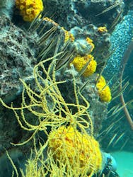 環境水族館アクアマリンふくしまに投稿された画像(2026/1/2)