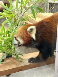 天王寺動物園に投稿された画像(2026/1/2)