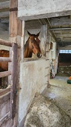 神戸市立六甲山牧場に投稿された画像(2026/1/2)