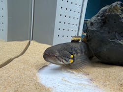 AOAO SAPPOROに投稿された画像(2026/1/2)