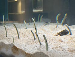 AOAO SAPPOROに投稿された画像(2026/1/2)