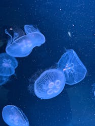 AOAO SAPPOROに投稿された画像(2026/1/2)