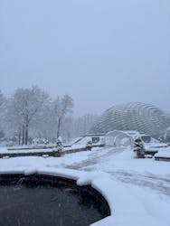 とっとり花回廊に投稿された画像(2026/1/2)