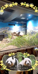 恩賜上野動物園に投稿された画像(2026/1/2)