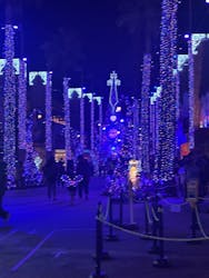 ひらかたパークに投稿された画像(2026/1/2)