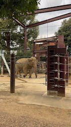 恩賜上野動物園に投稿された画像(2026/1/2)