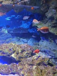 京都水族館に投稿された画像(2026/1/2)