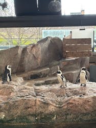 京都水族館に投稿された画像(2026/1/2)
