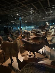 国立科学博物館に投稿された画像(2026/1/3)