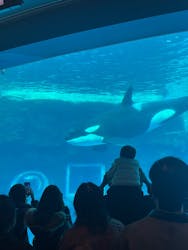 名古屋港水族館に投稿された画像(2026/1/3)