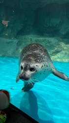 アクアワールド茨城県大洗水族館に投稿された画像(2026/1/3)