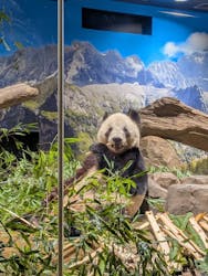 恩賜上野動物園に投稿された画像(2026/1/3)