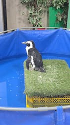 いきもの探検隊上尾に投稿された画像(2026/1/3)