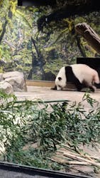 恩賜上野動物園に投稿された画像(2026/1/3)