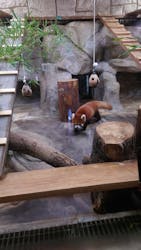 天王寺動物園に投稿された画像(2026/1/3)