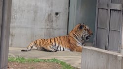 天王寺動物園に投稿された画像(2026/1/3)