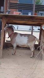 天王寺動物園に投稿された画像(2026/1/3)