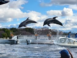 京都水族館に投稿された画像(2026/1/3)