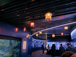 京都水族館に投稿された画像(2026/1/3)