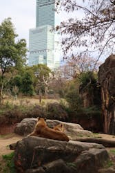 天王寺動物園に投稿された画像(2026/1/3)