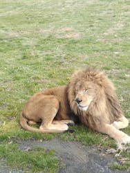 岩手サファリパークに投稿された画像(2026/1/3)