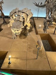 福井県立恐竜博物館に投稿された画像(2026/1/3)