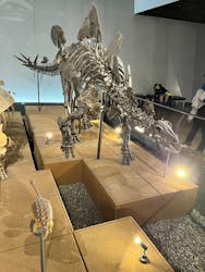 福井県立恐竜博物館に投稿された画像(2026/1/3)
